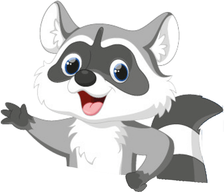 Waschbär